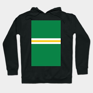 Glasgow Celtic Colours Bar Design Hoodie